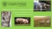 Inauguración del Máster en Producción y Sanidad Animal UCM-UPM